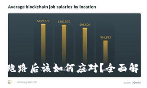 Tokenim钱包跑路后该如何应对？全面解析及应对策略