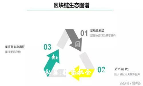 数字货币私募：投资机会与风险解析