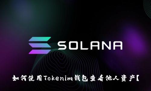 如何使用Tokenim钱包查看他人资产？