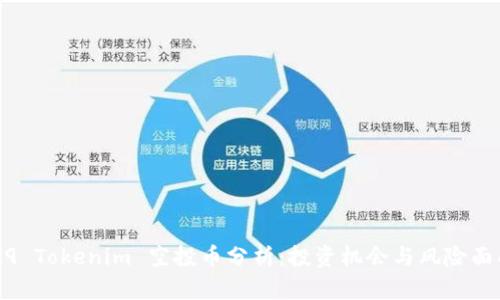 2019 Tokenim 空投币分析：投资机会与风险面面观