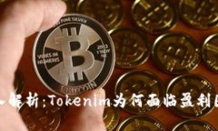 深入解析：Tokenim为何面临盈利困境