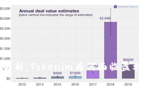 深入解析：Tokenim为何面临盈利困境