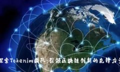 探索Tokenim团队：引领区块链创新的先锋力量