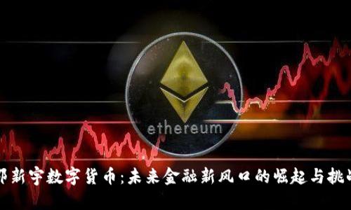 邵新宇数字货币：未来金融新风口的崛起与挑战