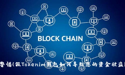 警惕！假Tokenim钱包如何导致您的资金被盗？