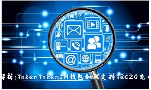 全面解析：TokenTokenIM钱包如何支持TRC20充币方式