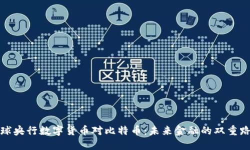 全球央行数字货币对比特币：未来金融的双重路径
