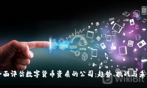 全面评估数字货币资质的公司：趋势、挑战与未来