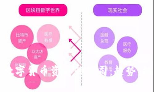 全面评估数字货币资质的公司：趋势、挑战与未来
