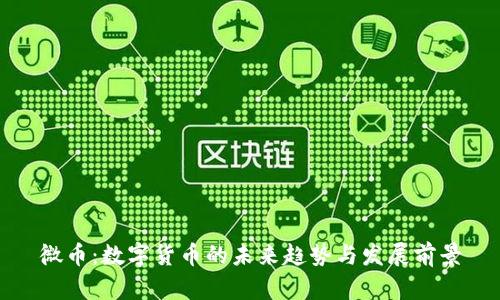 微币：数字货币的未来趋势与发展前景