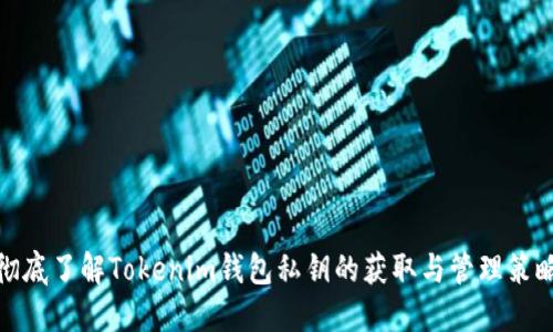 彻底了解Tokenim钱包私钥的获取与管理策略