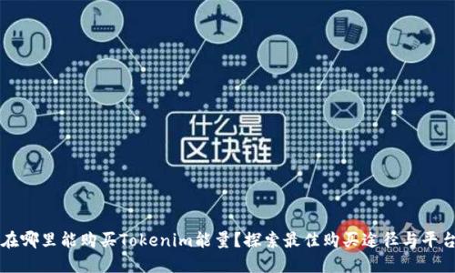 在哪里能购买Tokenim能量？探索最佳购买途径与平台