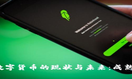 央行数字货币的现状与未来：成熟了吗？