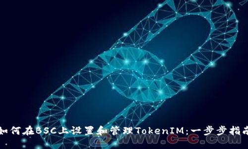 如何在BSC上设置和管理TokenIM：一步步指南