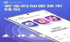 探索数字货币的未来：神鱼带你领略加密世界的