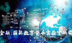探索未来金融：国际数字货币实验室的前景与挑