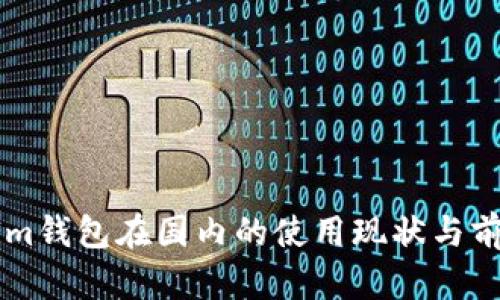 TokenIm钱包在国内的使用现状与前景分析