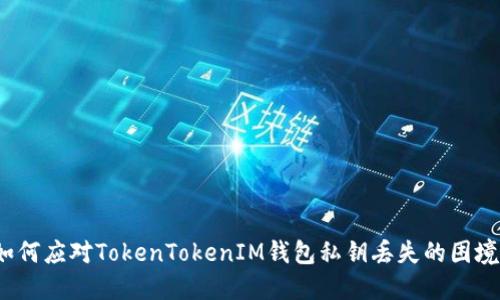 如何应对TokenTokenIM钱包私钥丢失的困境？