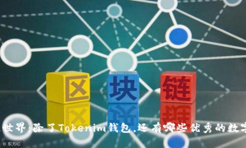 探索区块链世界：除了Tokenim钱包，还有哪些优秀的数字资产钱包？