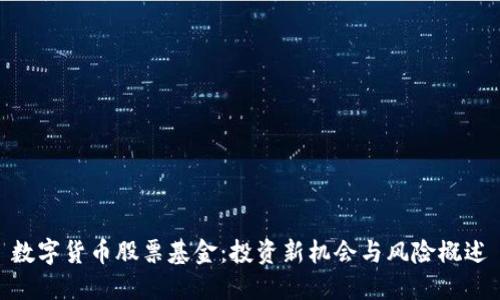 数字货币股票基金：投资新机会与风险概述