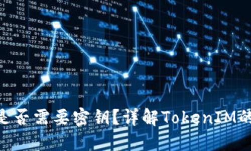 TokenIM是否需要密钥？详解TokenIM的安全机制