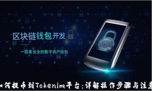 
NFT如何提币到Tokenim平台：详解操作步骤与注意事项