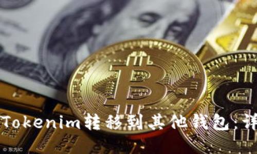 如何将Tokenim转移到其他钱包：详细指南