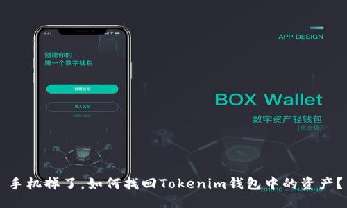 手机掉了，如何找回Tokenim钱包中的资产？